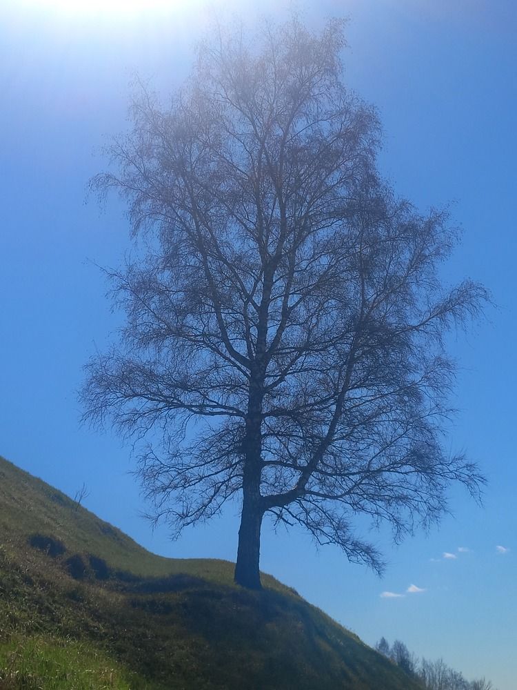 Photograph by Екатерина Пенежина