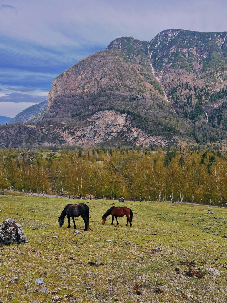 Photograph by Natalia Levenih