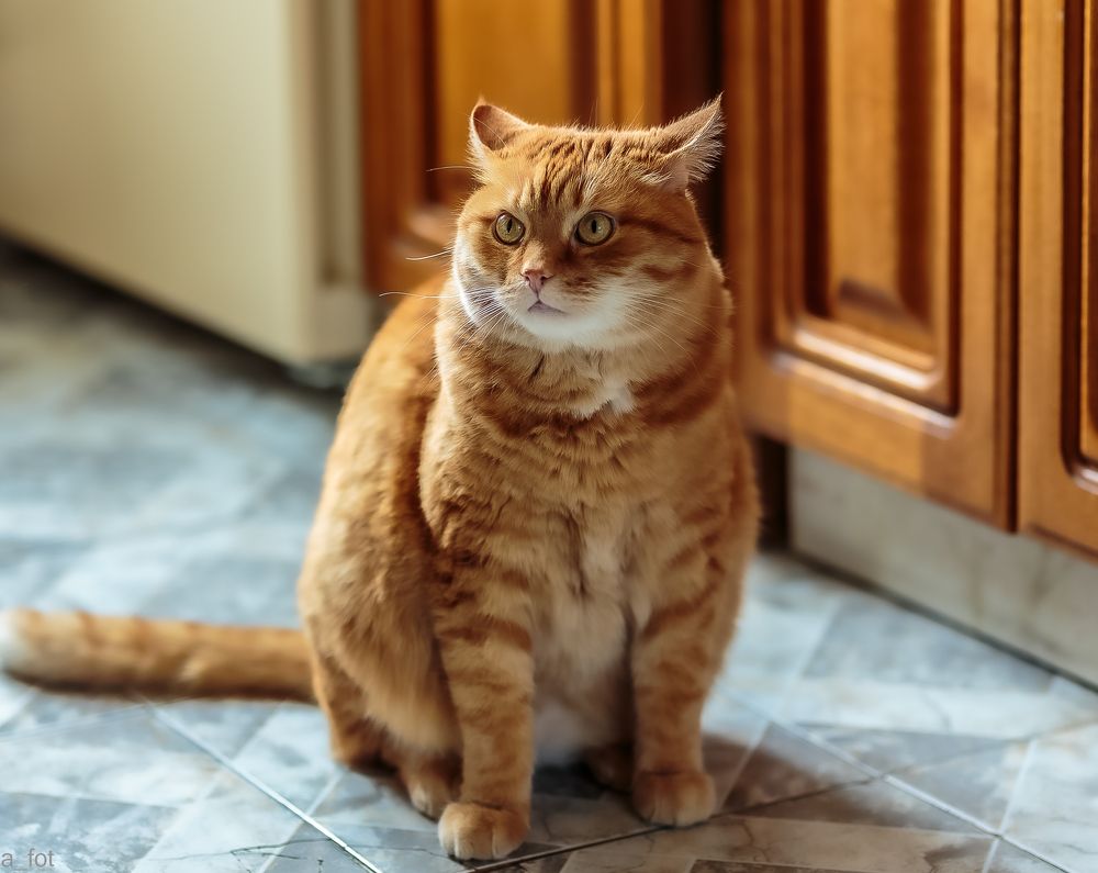 Photograph by Александр Тихонов