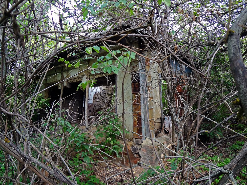 Photograph by Ксения Мироненко