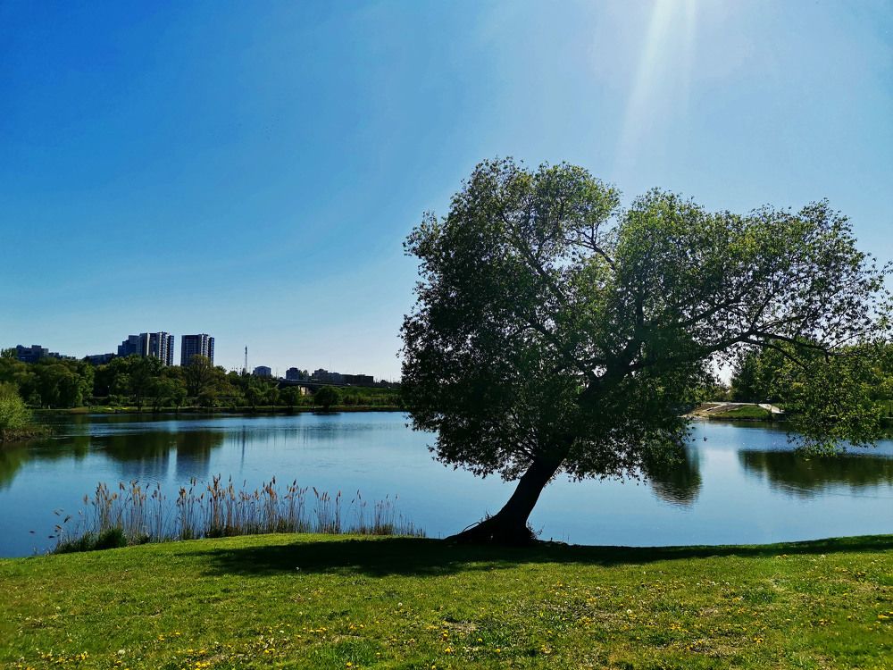 Photograph by Ксения Мироненко