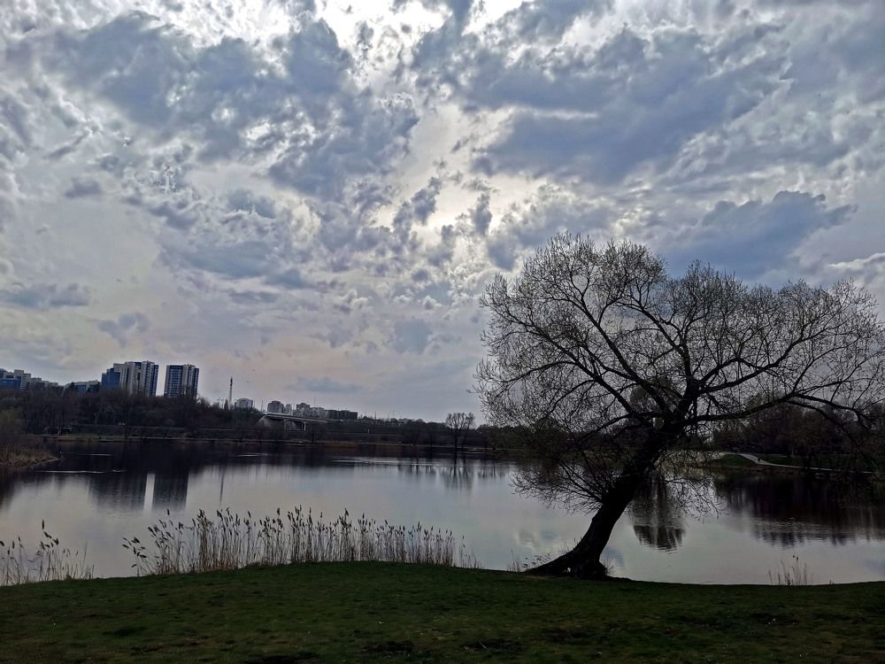 Photograph by Ксения Мироненко