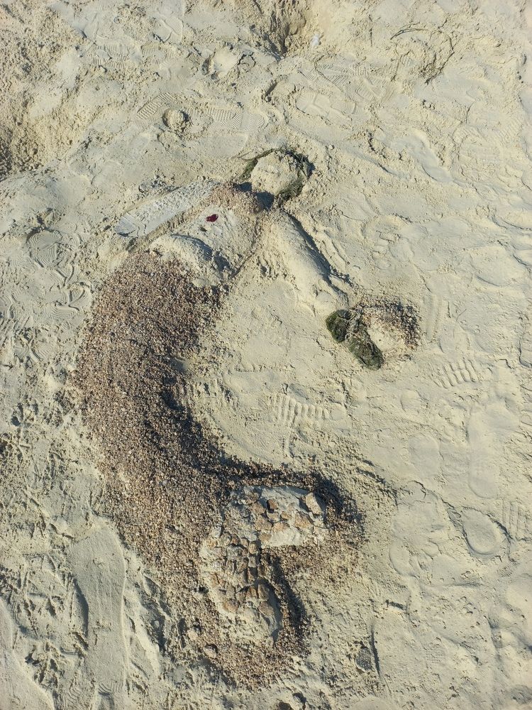 Photograph by Екатерина Пенежина