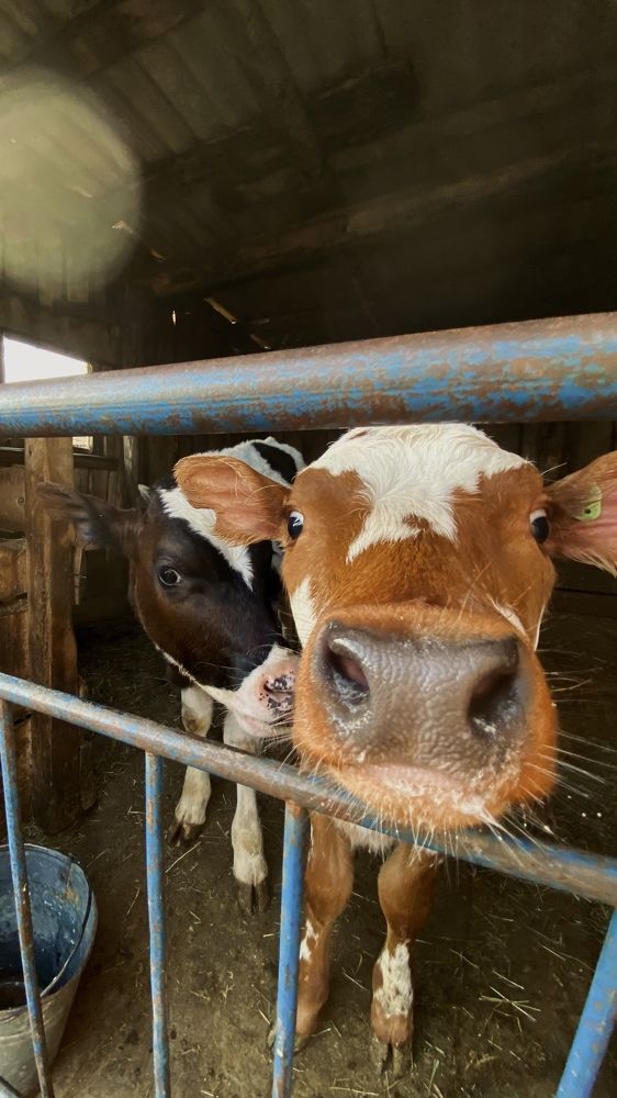 Photograph by Надежда Макулова