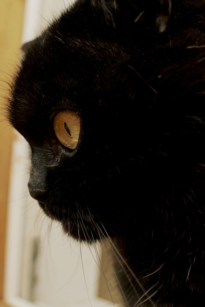 Photograph by Ирина Коннова