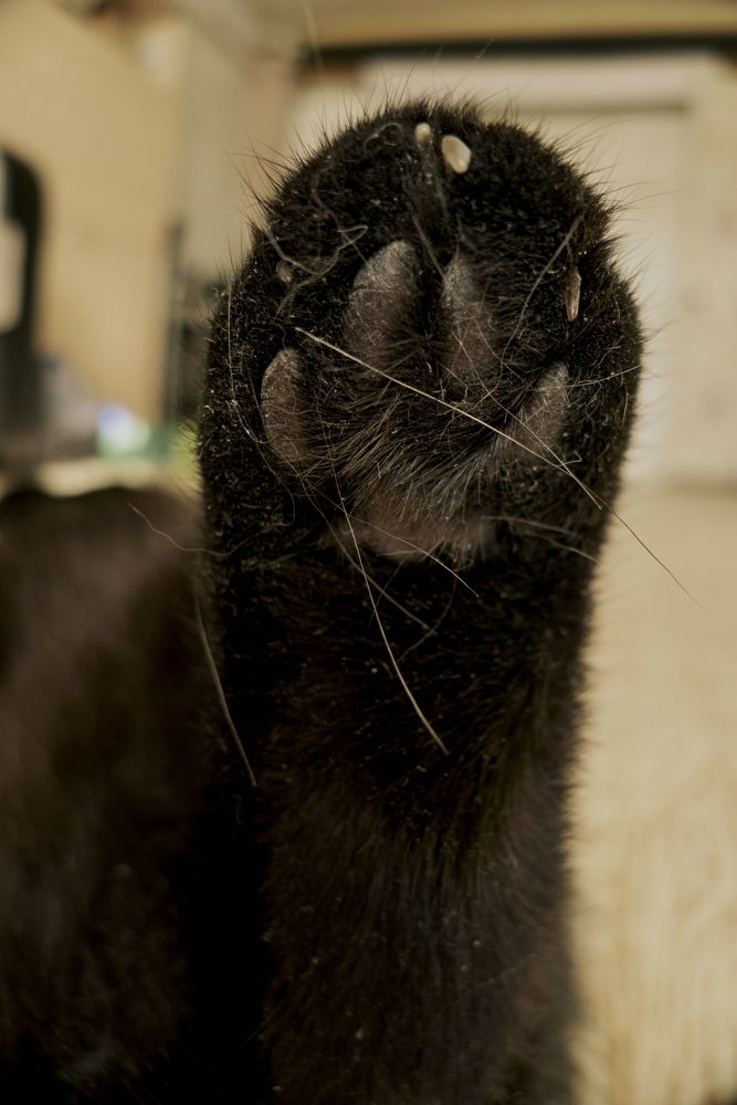 Photograph by Ирина Коннова