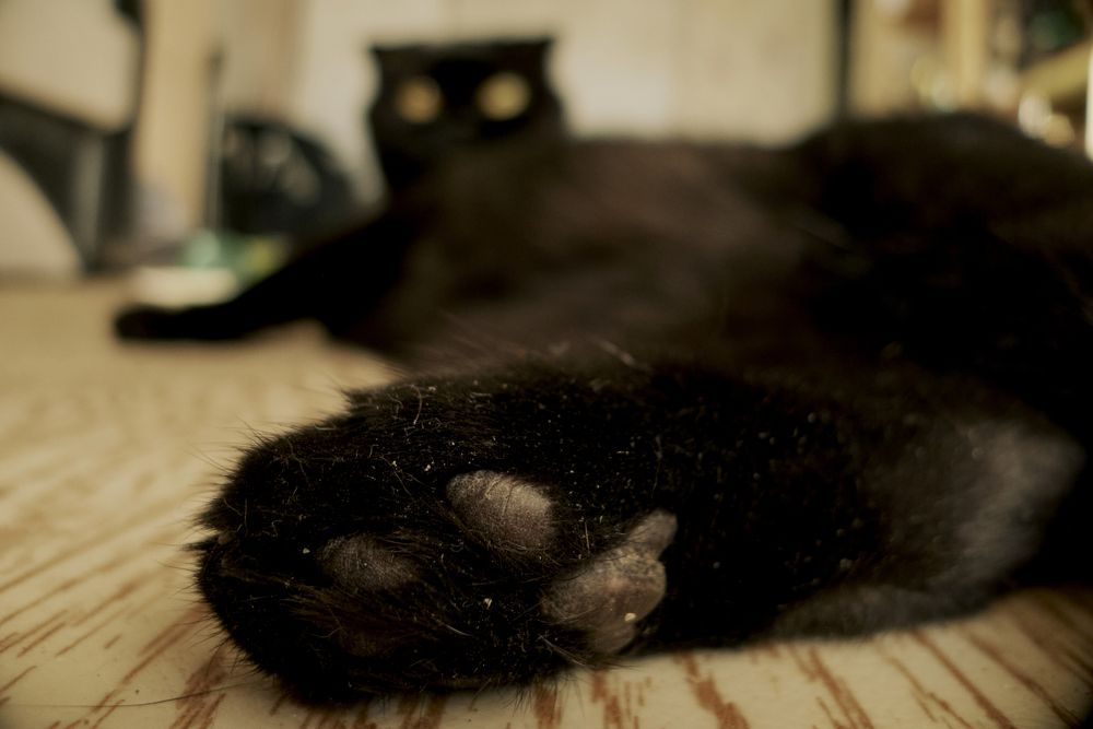 Photograph by Ирина Коннова