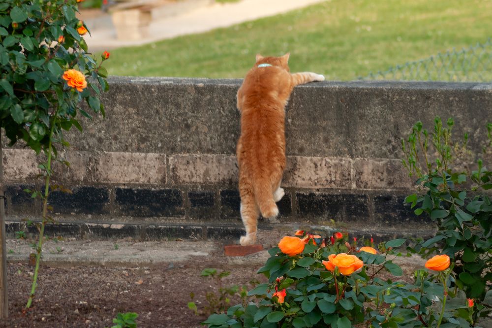 Photograph by Ирина Шумахер