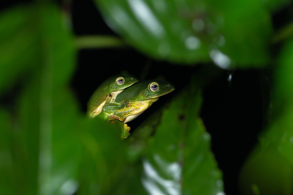 Фотография автора sahaj kasliwal