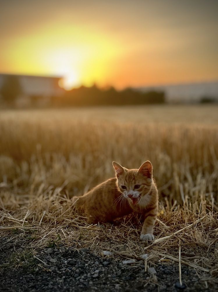 Photograph by Olga Panich