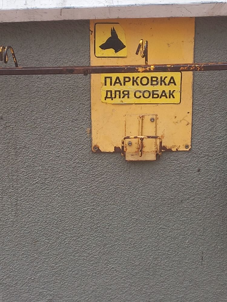 Photograph by Екатерина Пенежина