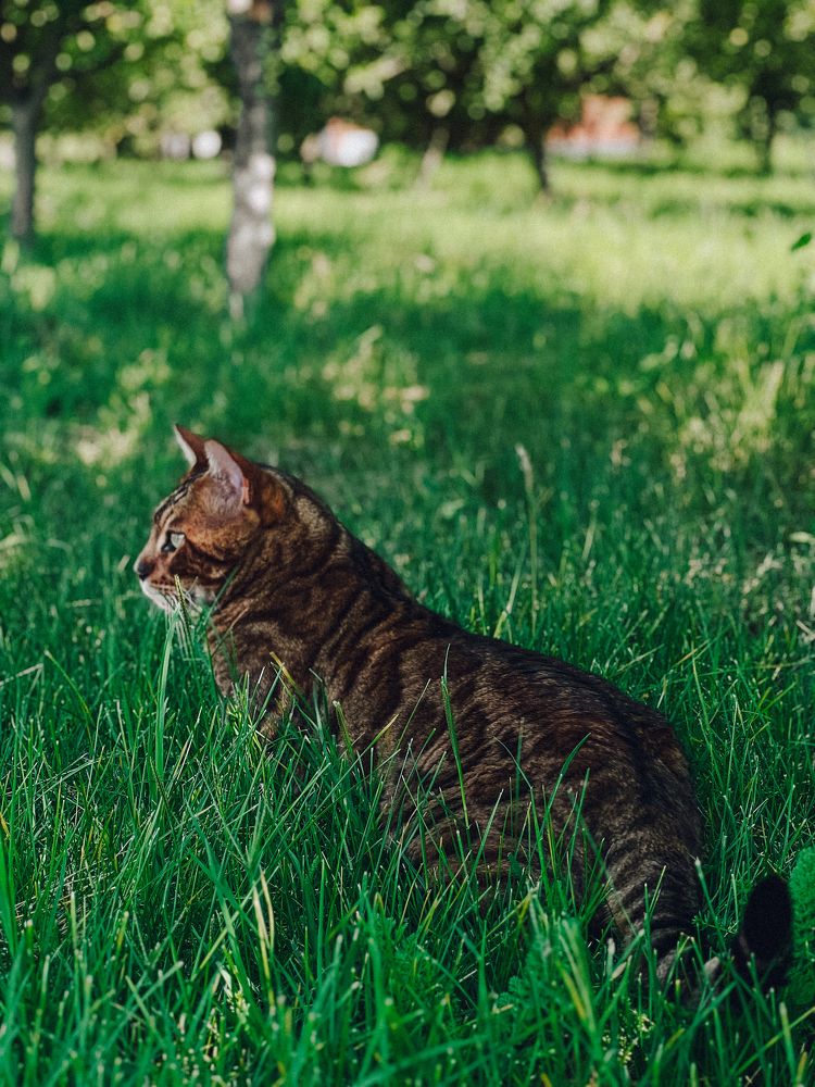 Photograph by Елена Громова