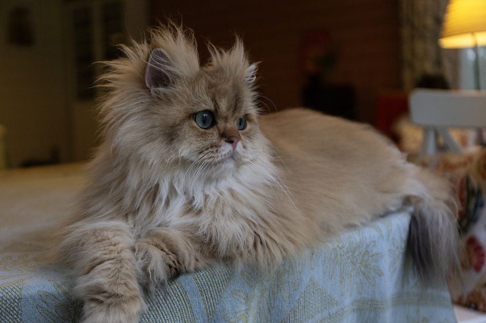 Photograph by Беликов Михаил