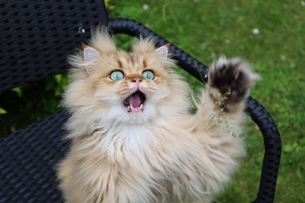 Photograph by Беликов Михаил