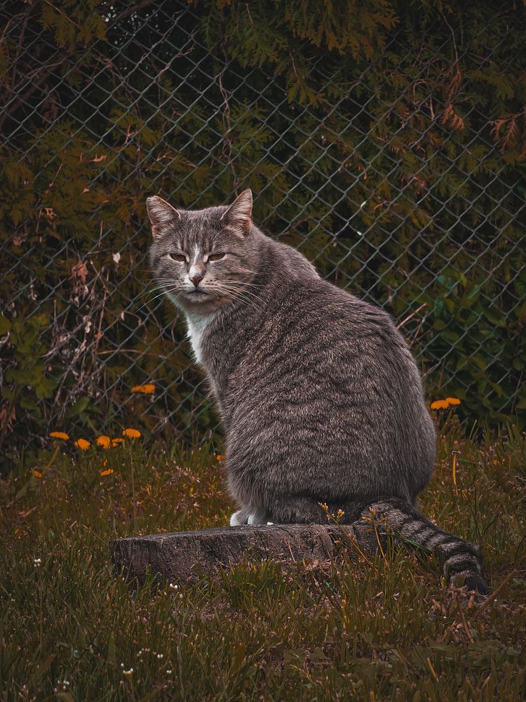 Photograph by Елена Ямнюк