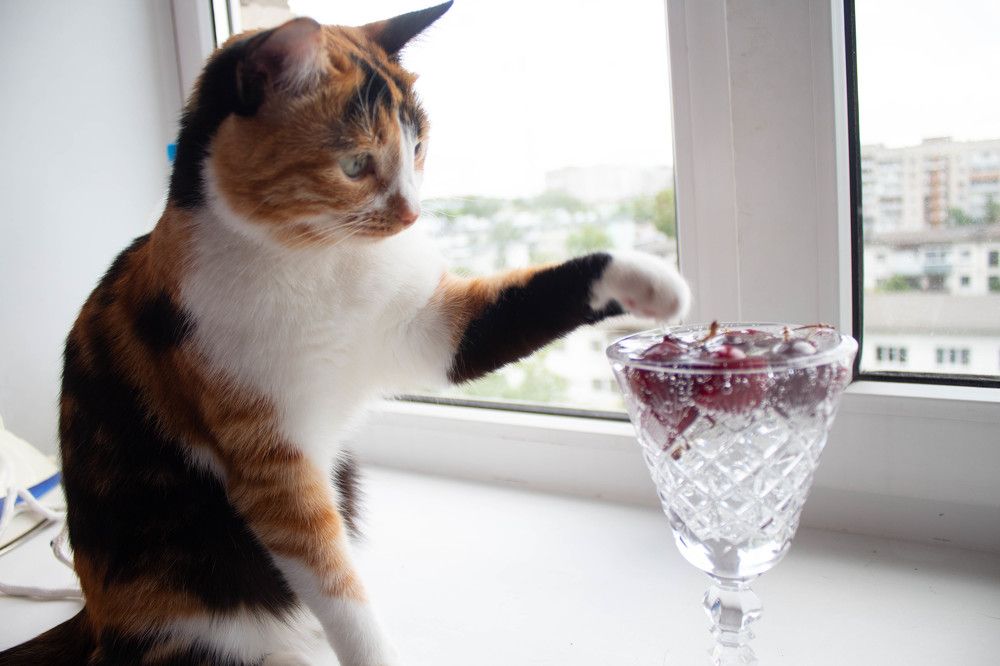 Photograph by Виталий