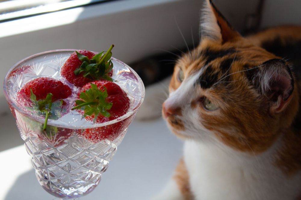 Photograph by Виталий