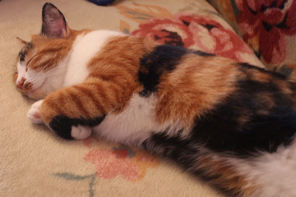 Photograph by Виталий