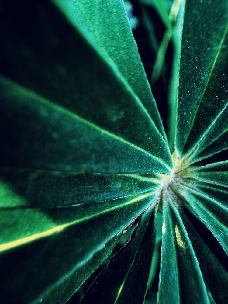 Фотография автора Елена Поживилко