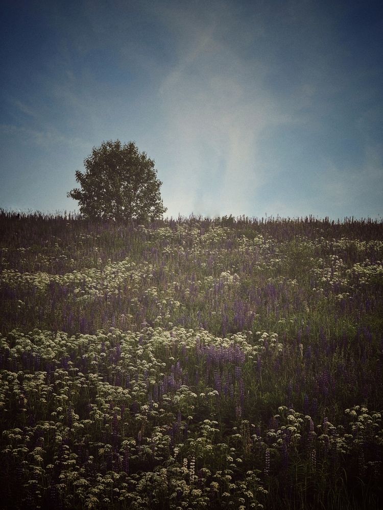 Фотография автора Елена Поживилко