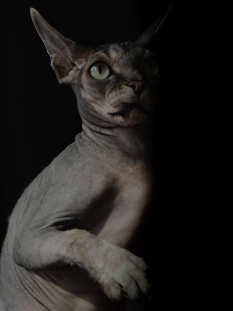 Фотография автора Ольга Лазаренко