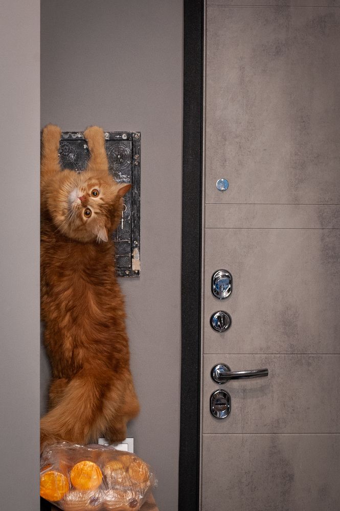 Photograph by Екатерина Пенежина