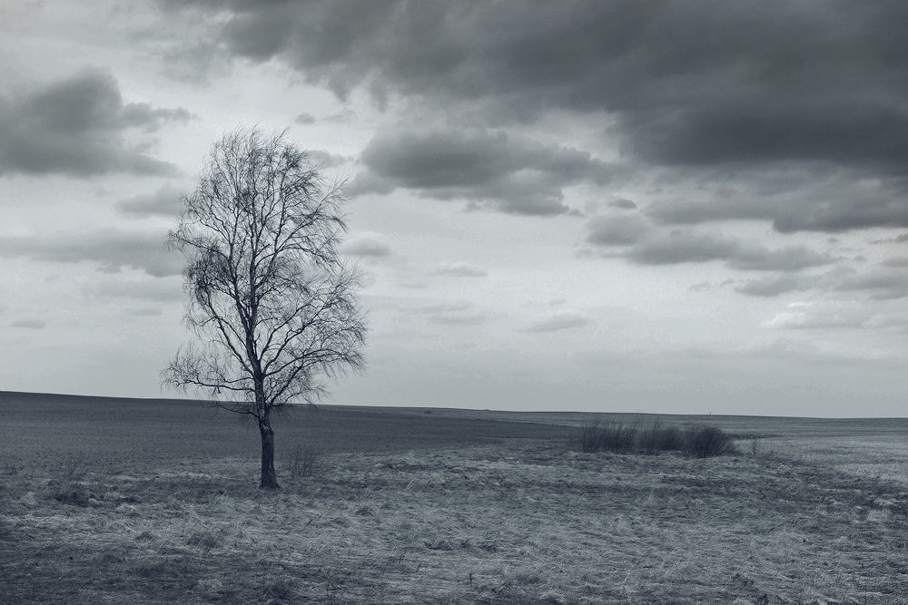 Photograph by Алексей Романов