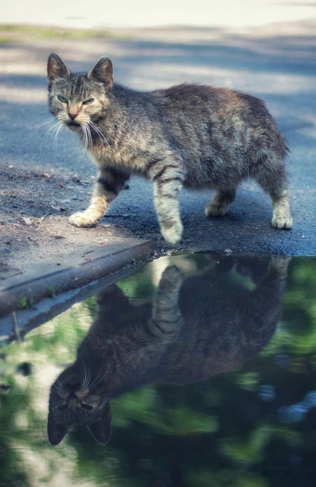 Photograph by Татьяна