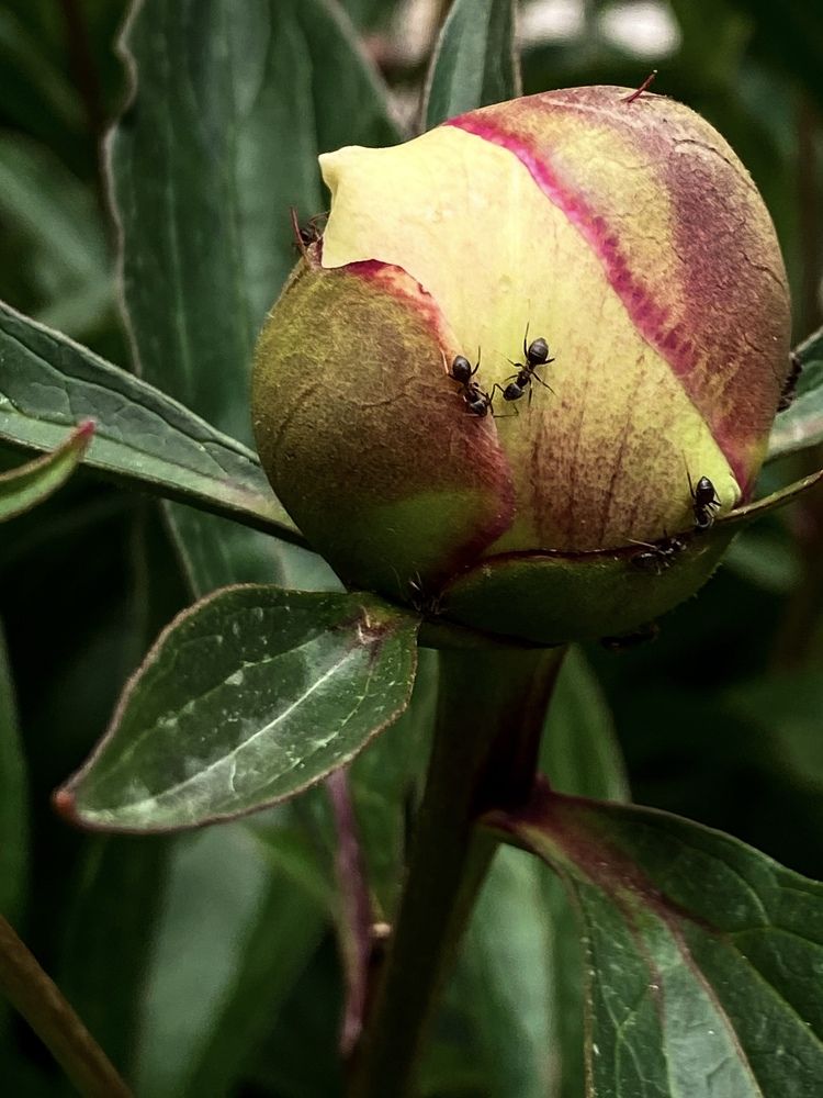 Фотография автора Ольга Лазаренко