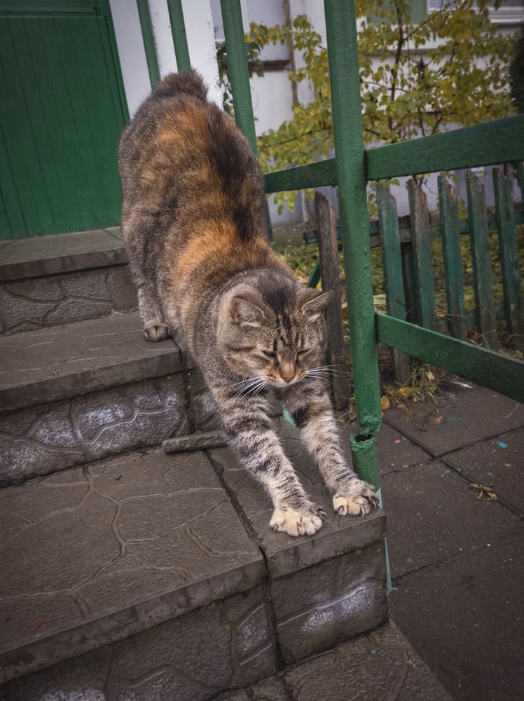 Повторяй за мной!