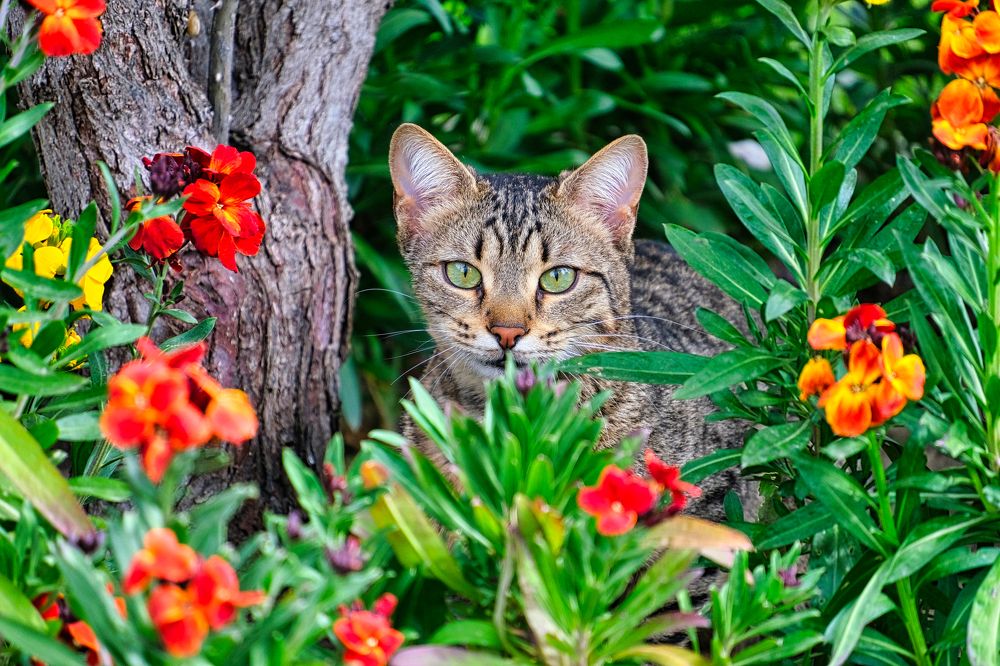 Photograph by Ильдар Балеев