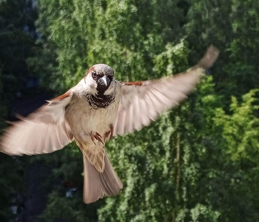 Photograph by Светлана К