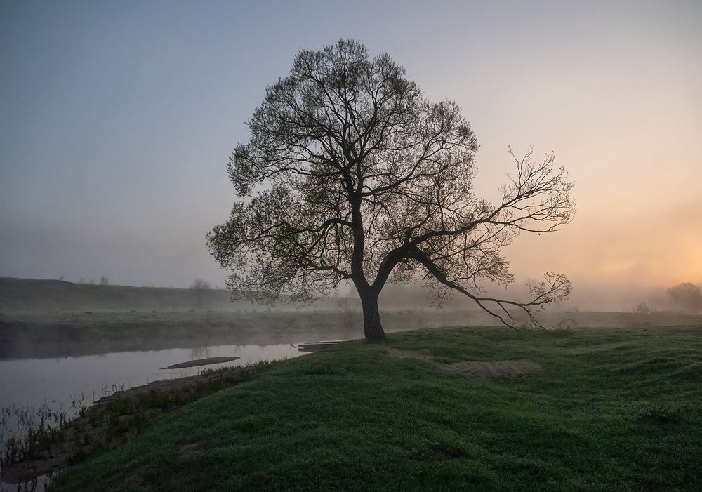 Photograph by Марина Брыдня