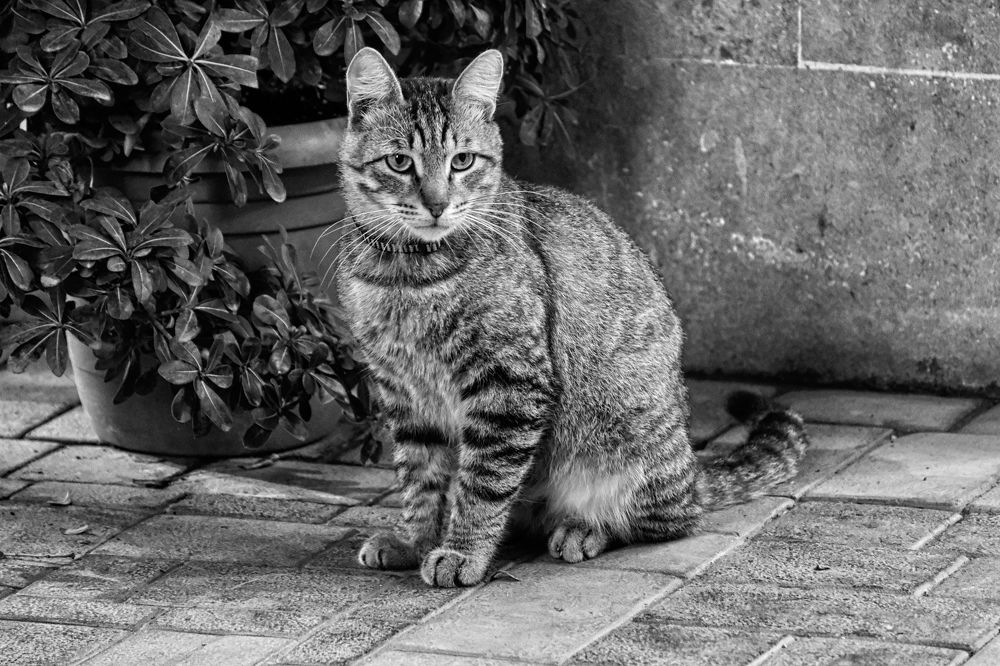 Photograph by Ильдар Балеев