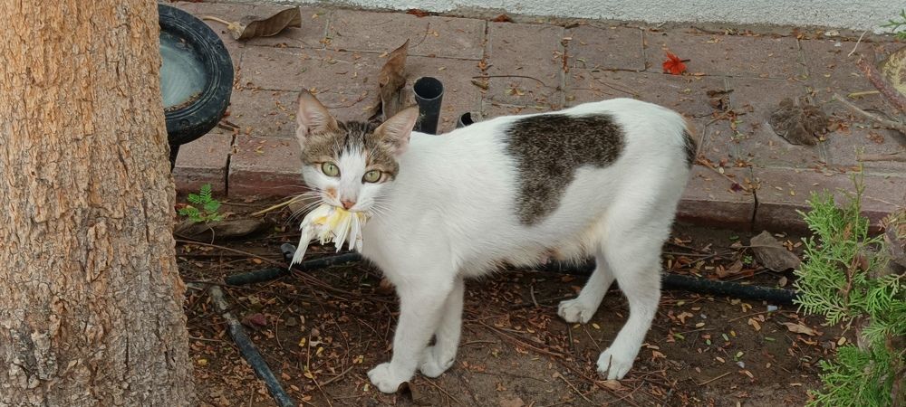 Photograph by Демьян Лопатов