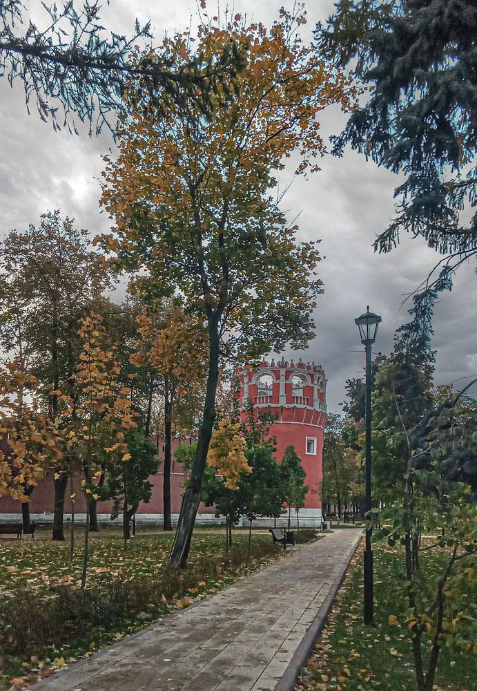 Photograph by Vladimir  Komarov