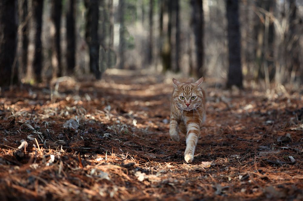 Photograph by Ольга Оверко