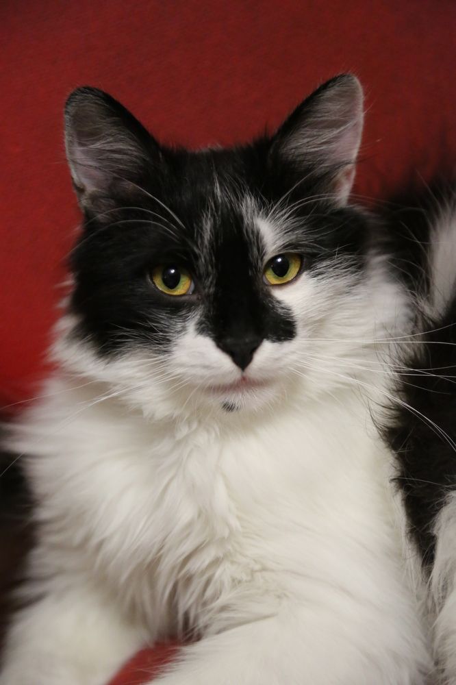 Photograph by София Лаврентьева