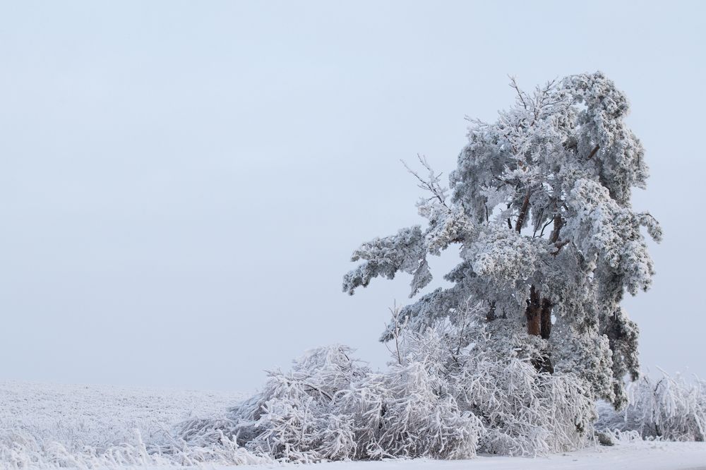 Photograph by Ольга Осинина