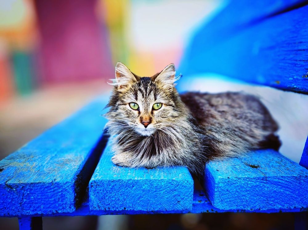 Photograph by Ekaterina Fadeeva