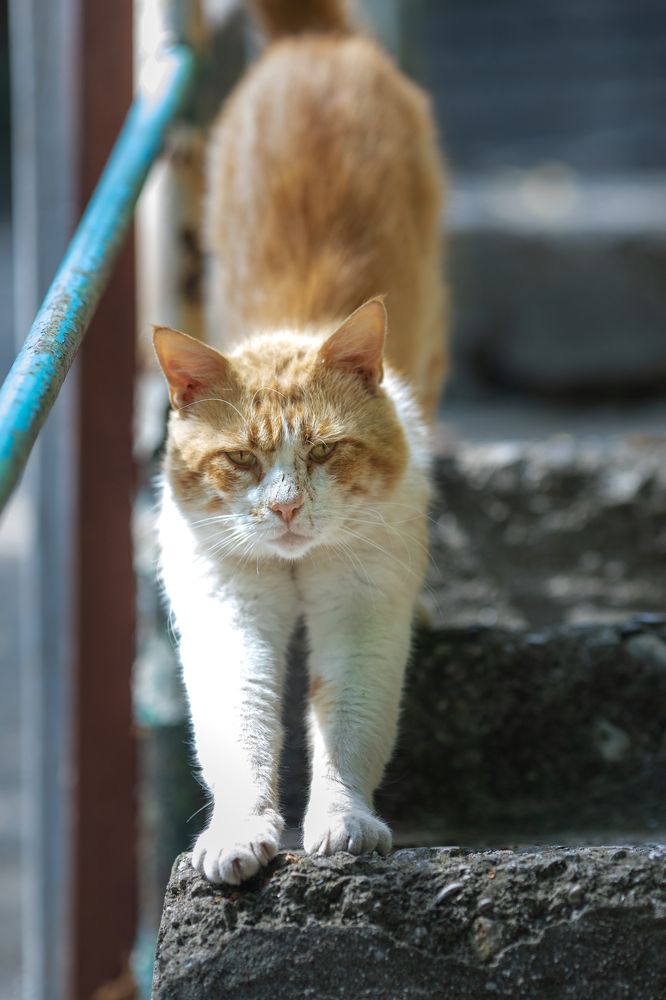 Фотография автора Строкова Екатерина