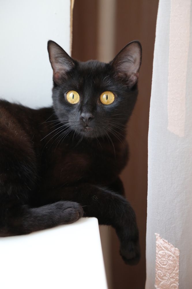 Photograph by София Лаврентьева