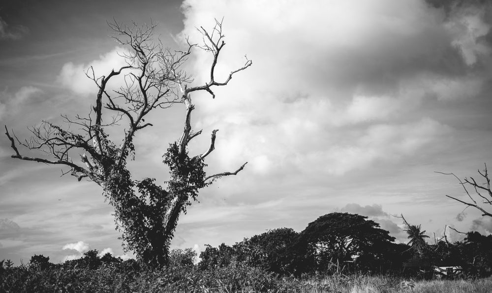 Photograph by Marlon Valdes