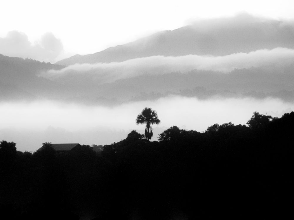 Photograph by Emmanuel Garcia