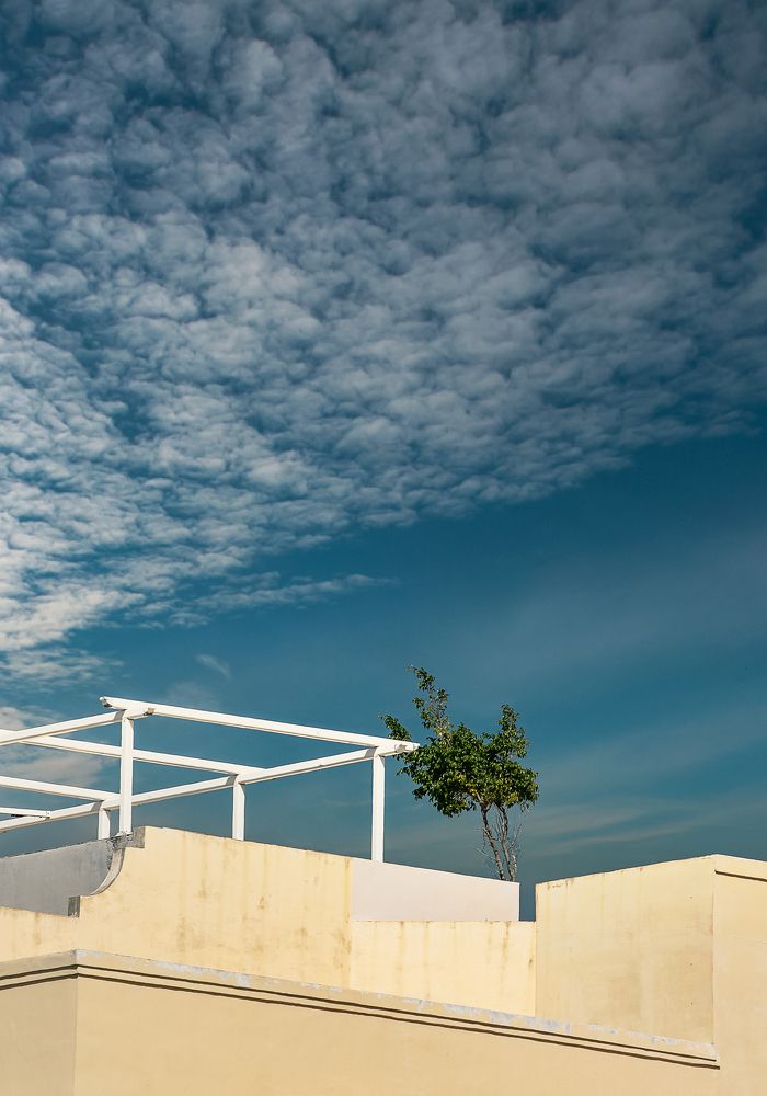 Photograph by Marlon Valdes