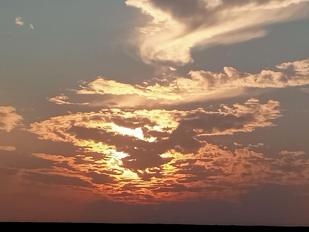 A bird  made of clouds