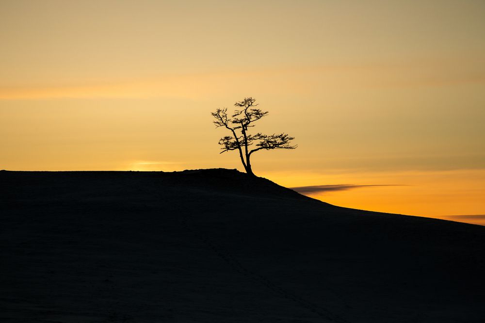Фотография автора Андрей Пожарский