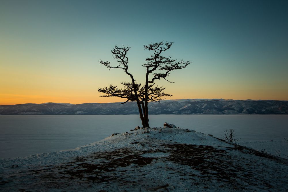 Фотография автора Андрей Пожарский