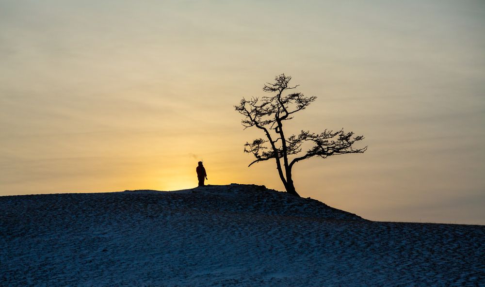 Фотография автора Андрей Пожарский