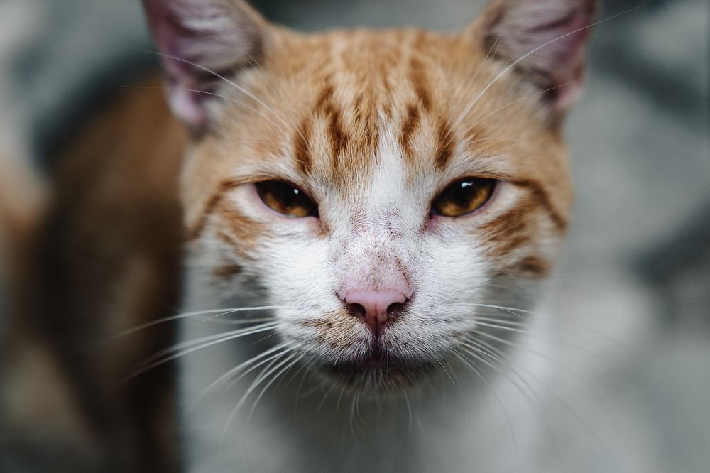 Photograph by Marlon Valdes